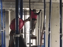 8cdcec848358c2f131944b1a83056535.jpg